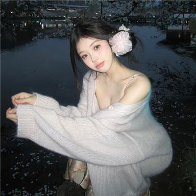 海豚之眼